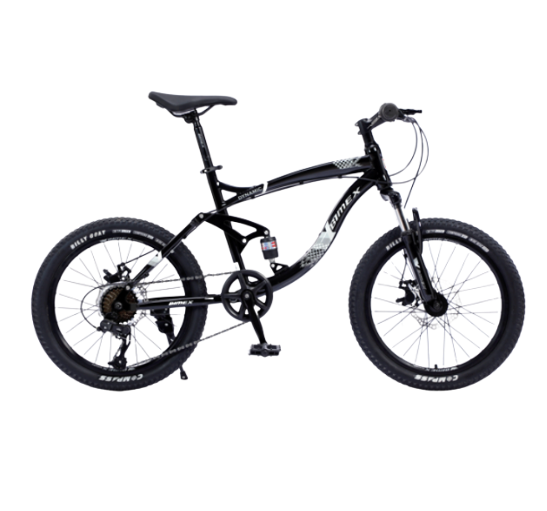 Bicicleta Bimex Dynamic